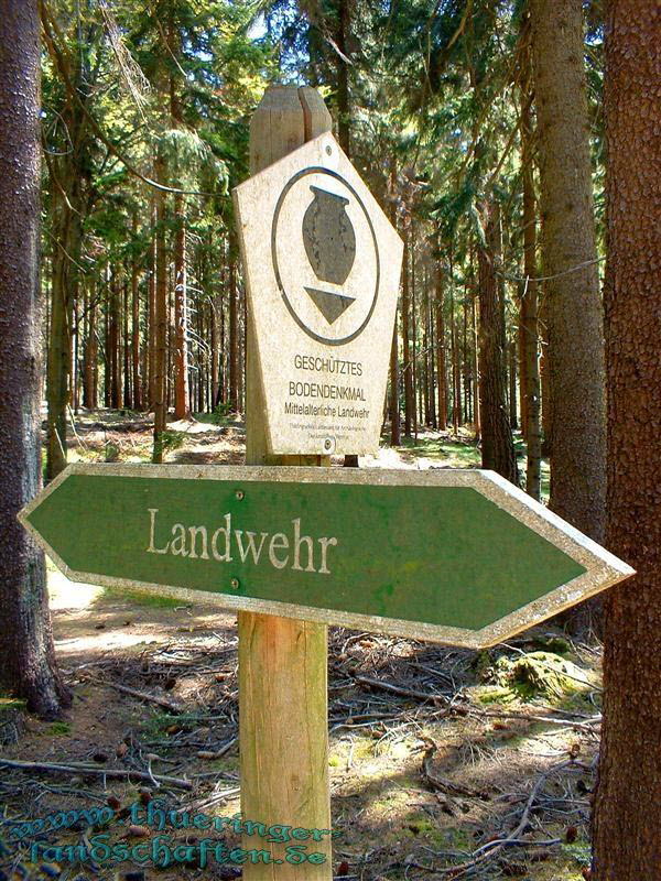 Landwehr zwischen Wiedersbach und Hildburghausen