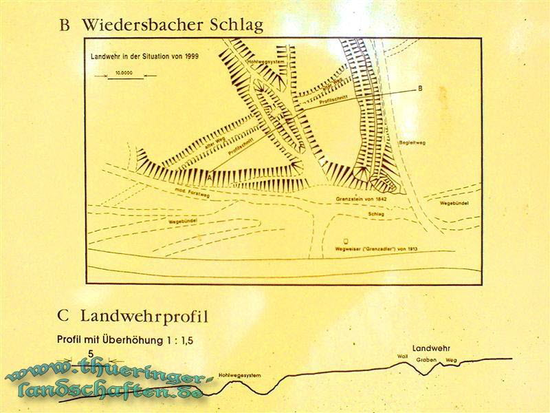 Landwehr zwischen Wiedersbach und Hildburghausen