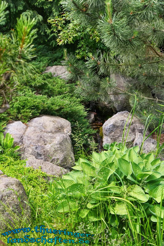 Japanischer Garten Leinefelde