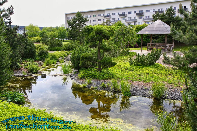 Japanischer Garten Leinefelde