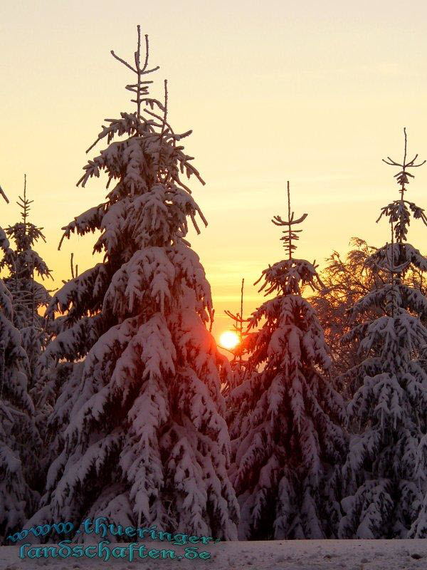 Sonnenuntergang Winterwald beim Oberbecken PSW Goldisthal