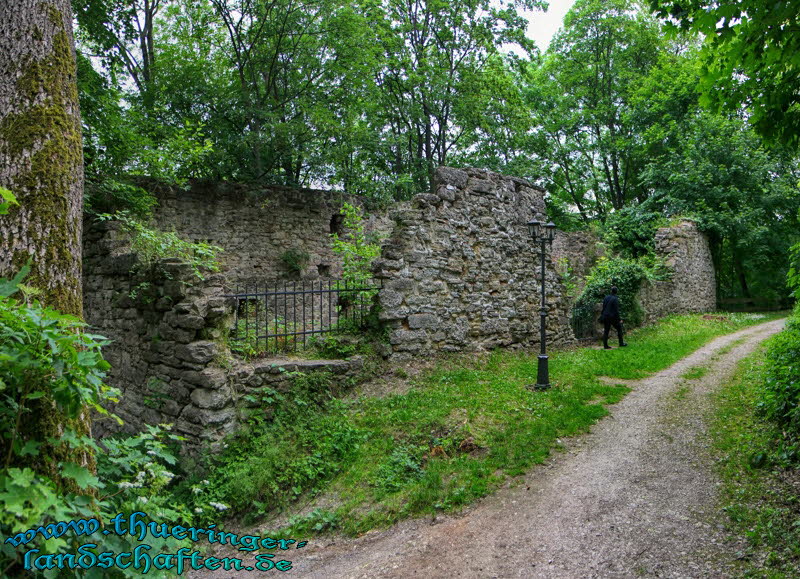 Burg Bodenstein