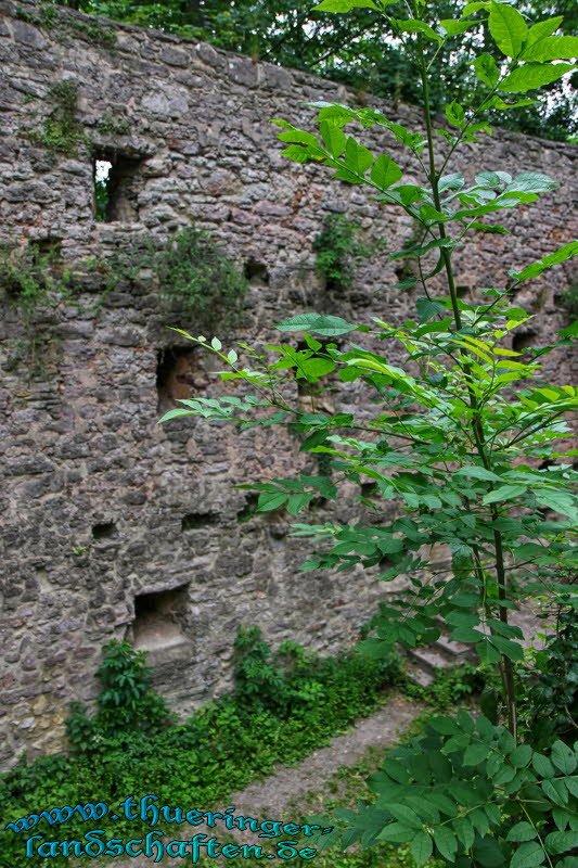 Burg Bodenstein