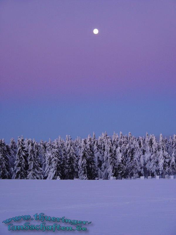 Winterwald auf dem Schneekopf bei Sonnenuntergang