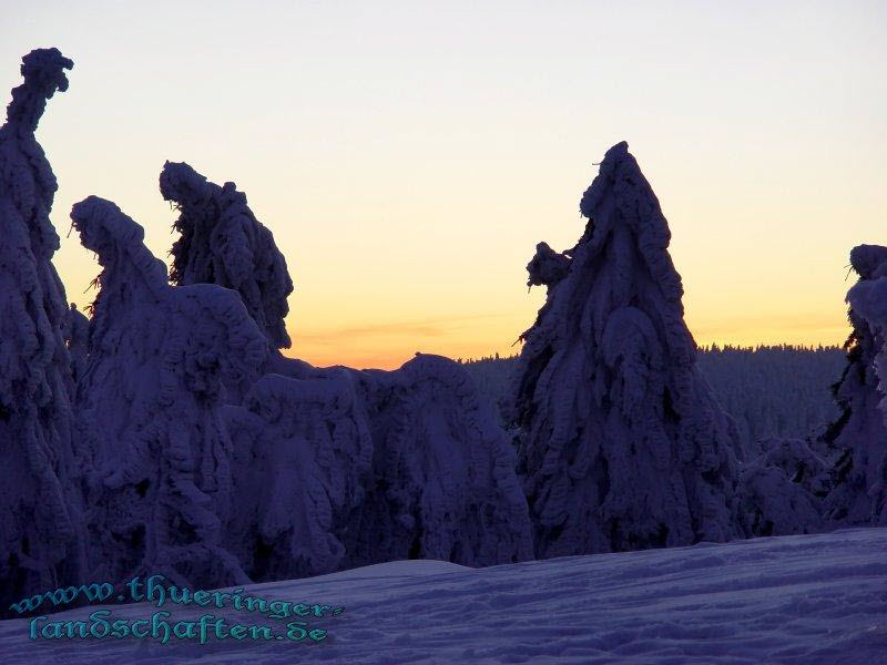 Winterwald auf dem Schneekopf bei Sonnenuntergang