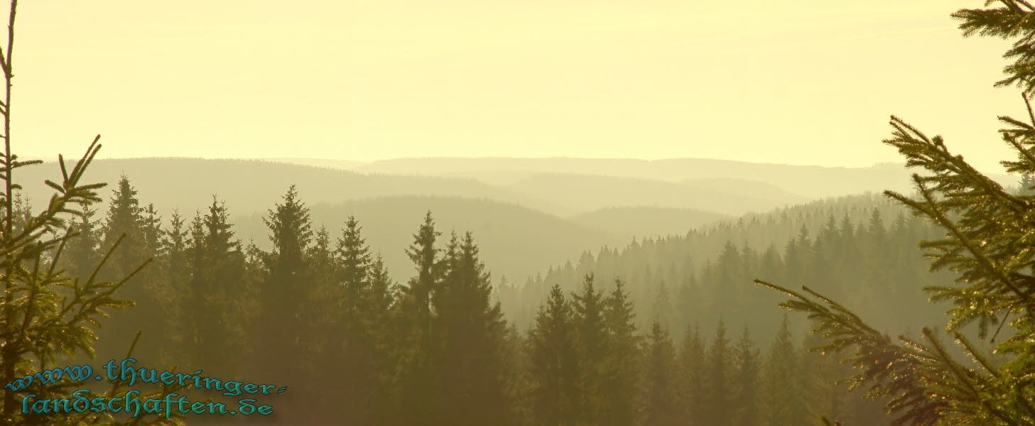Blick in den Thüringer Wald